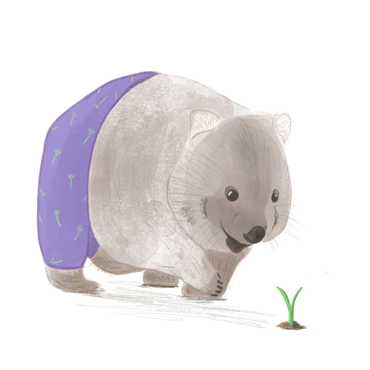 Wombat